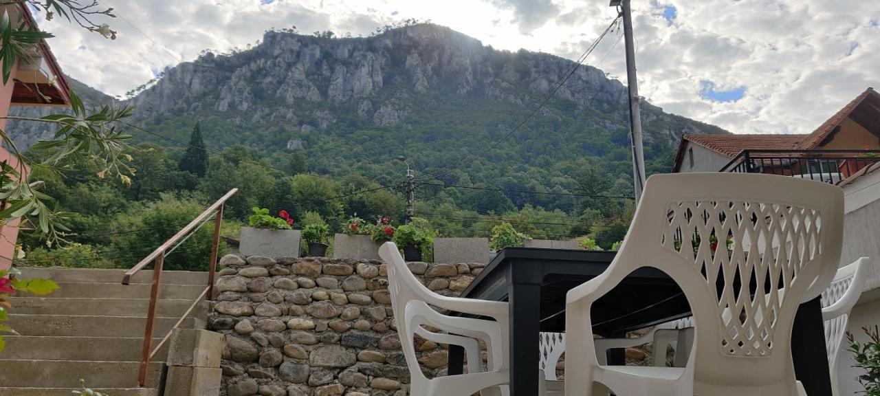 Отель Casa Narcisa Бэиле-Еркулане Экстерьер фото
